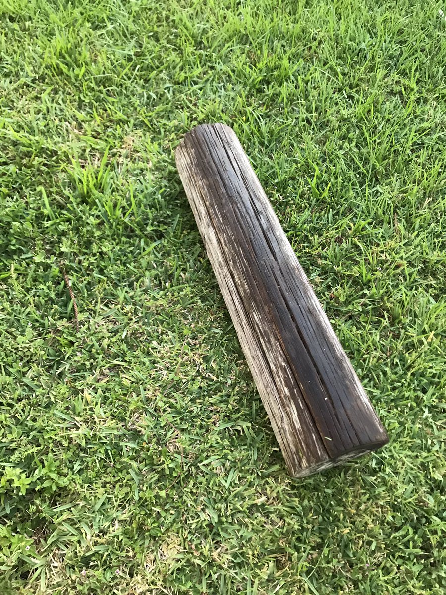 KipAuthor's tweet photo. My #workout partner this #morning.
#logflip https://t.co/O8bS4oqUDX