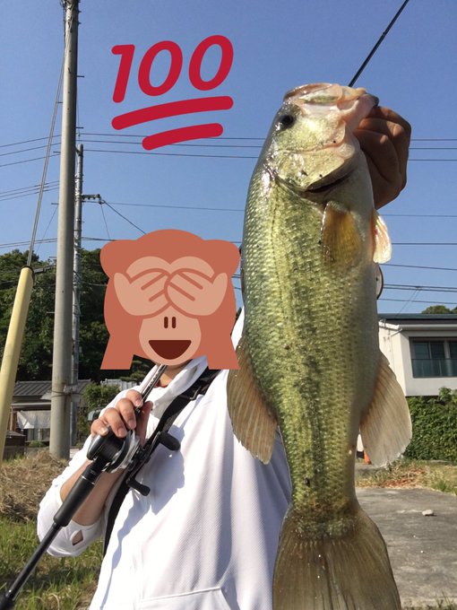 Jackall ファイボスの特徴と使い方を解説 スライドフォールワーム Bass Zero