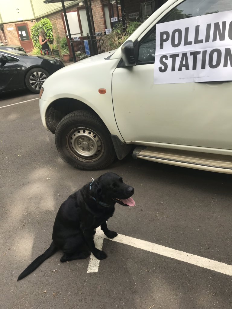 #dogsatpollingstations2019, what a great British tradition :)