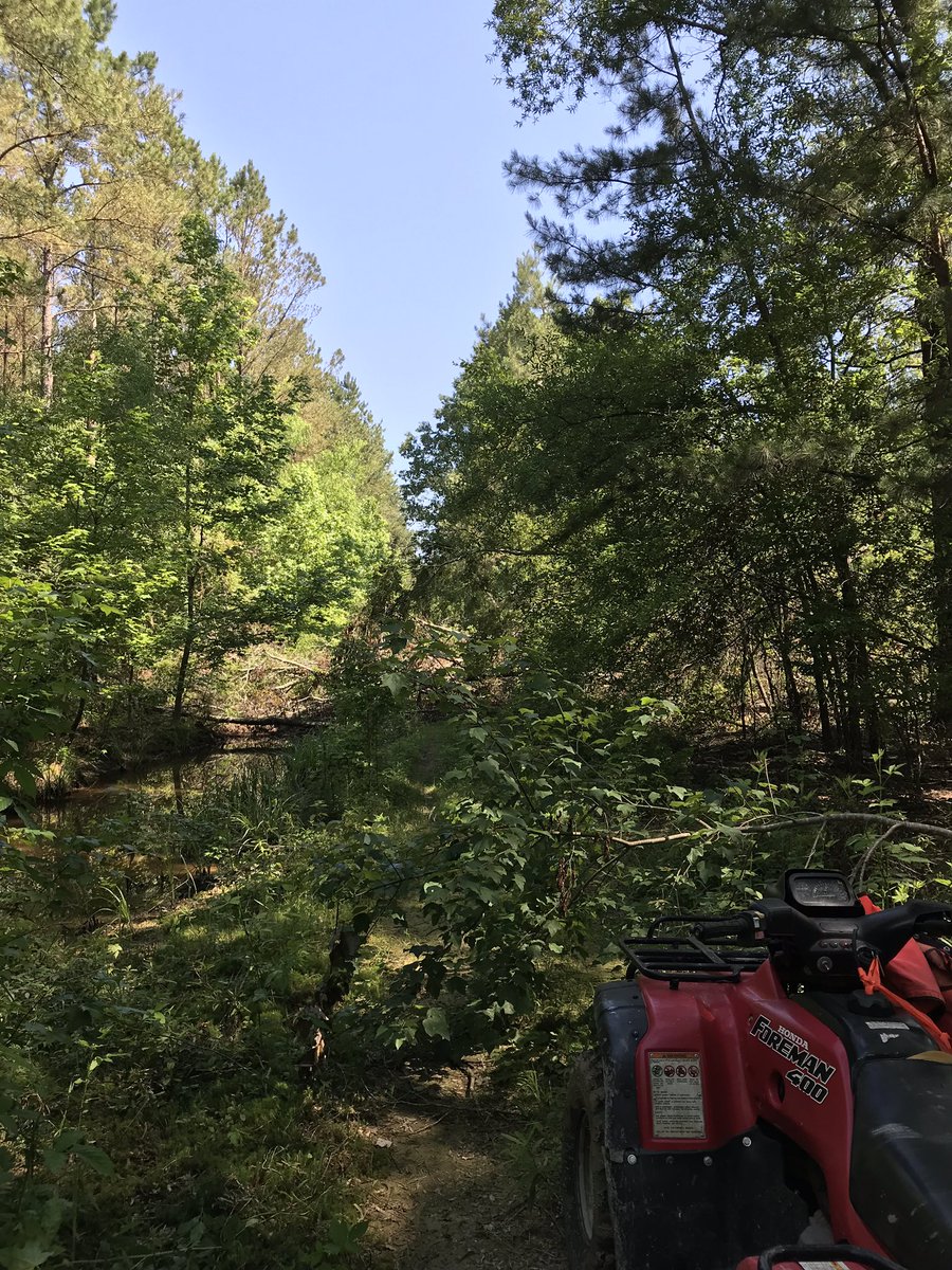 JobyPrince's tweet photo. End of the road. Having a blast trying to get some aerial views of the tornado damage in our MSState forest. VLOS so much harder to maintain than in ag landscapes. #droneproblems https://t.co/PtJdcUrZeq