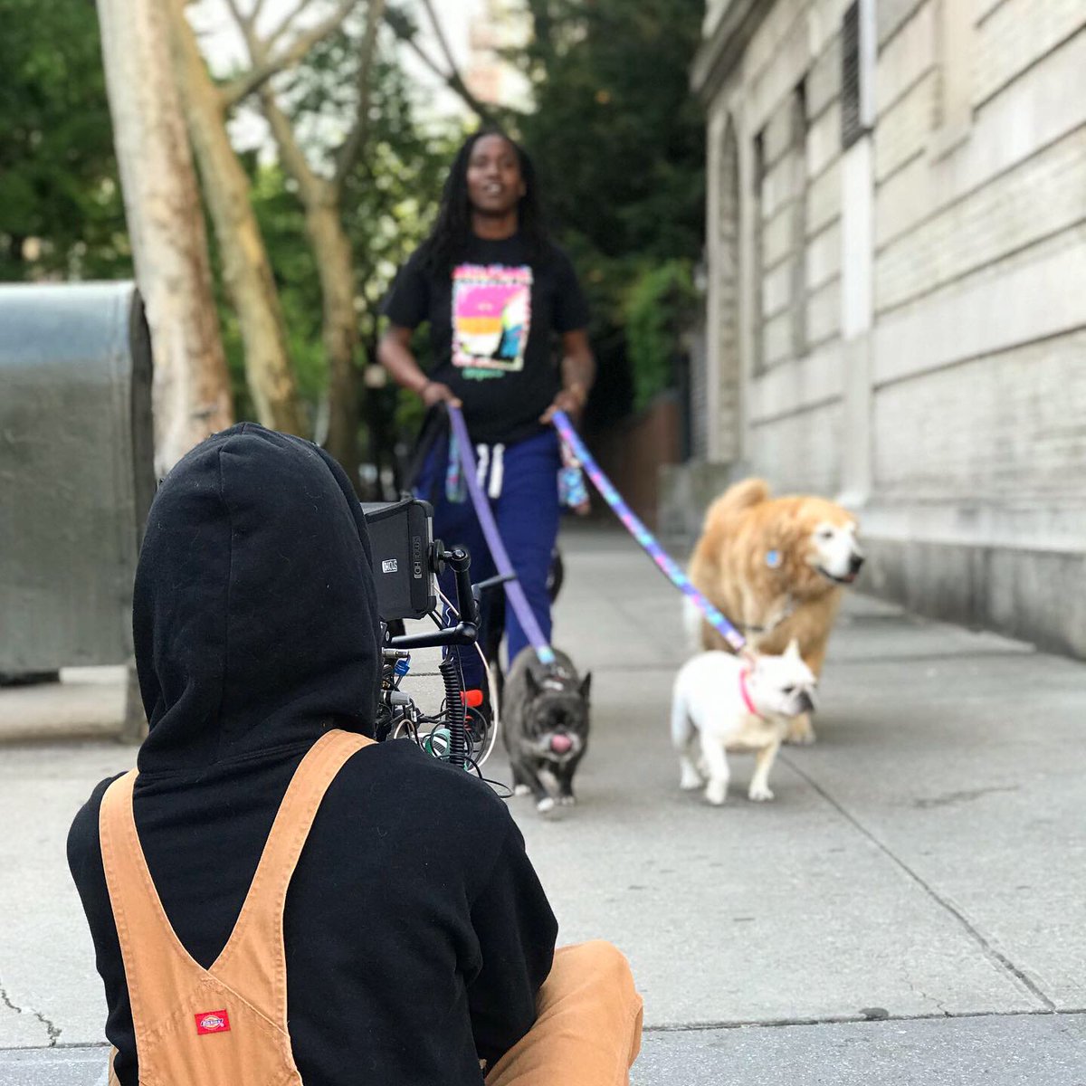 TectonicVideo's tweet photo. Telling stories of transformation + Walking puppies = A pretty great day. 📽️🐶🐶🐶

#nonprofitfilm #tectonicvideo #BehindTheScenes #NewYorkCity https://t.co/R3pY6ohQGl