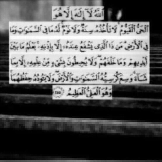 om_sahan's tweet photo. لكل شخص عابر مر من هُنا :
كن كالغيث تروي قبر جدتي بدعائك اللهم أرحمها و اغفرلها و اجمعني بها فـ الجنة.  
| #صدقه_جاريه_لجدتي https://t.co/zhjrIzmzeJ