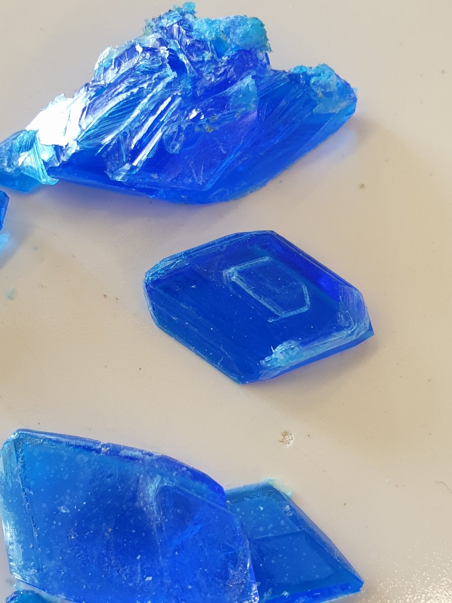 Alderwood_Science (Alderwood_Sci) Twitter