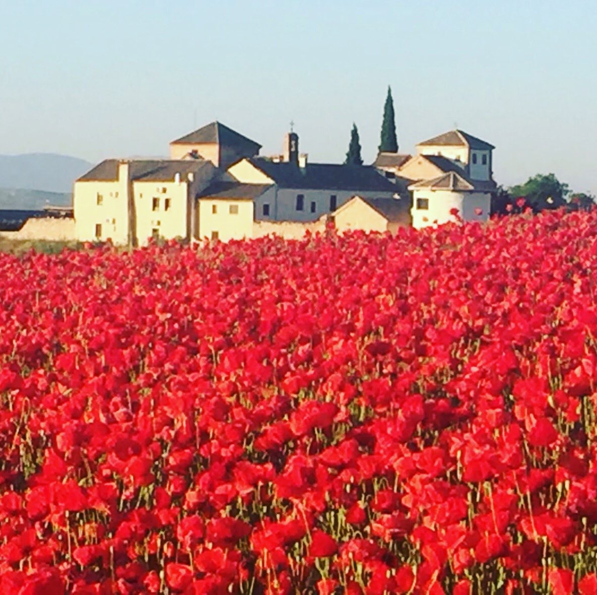 CortijoMarques's tweet photo. This is a hotel for travellers who want to tell stories..... If you are one of them, come and experience it! 
#slowhotel #slowholidays #Spain https://t.co/Xp3PwTtp9e