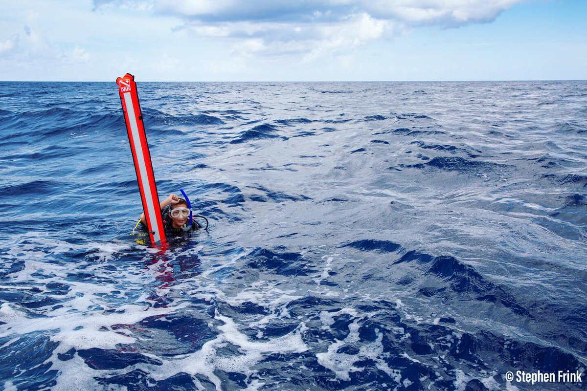 DANGlobalSafety's tweet image. “What do I do if my buddy and I get separated?” 

REMAIN CALM, remember your training and stick to your buddy separation event plans. Full post at instagram.com/p/BxipZHBhOgK/