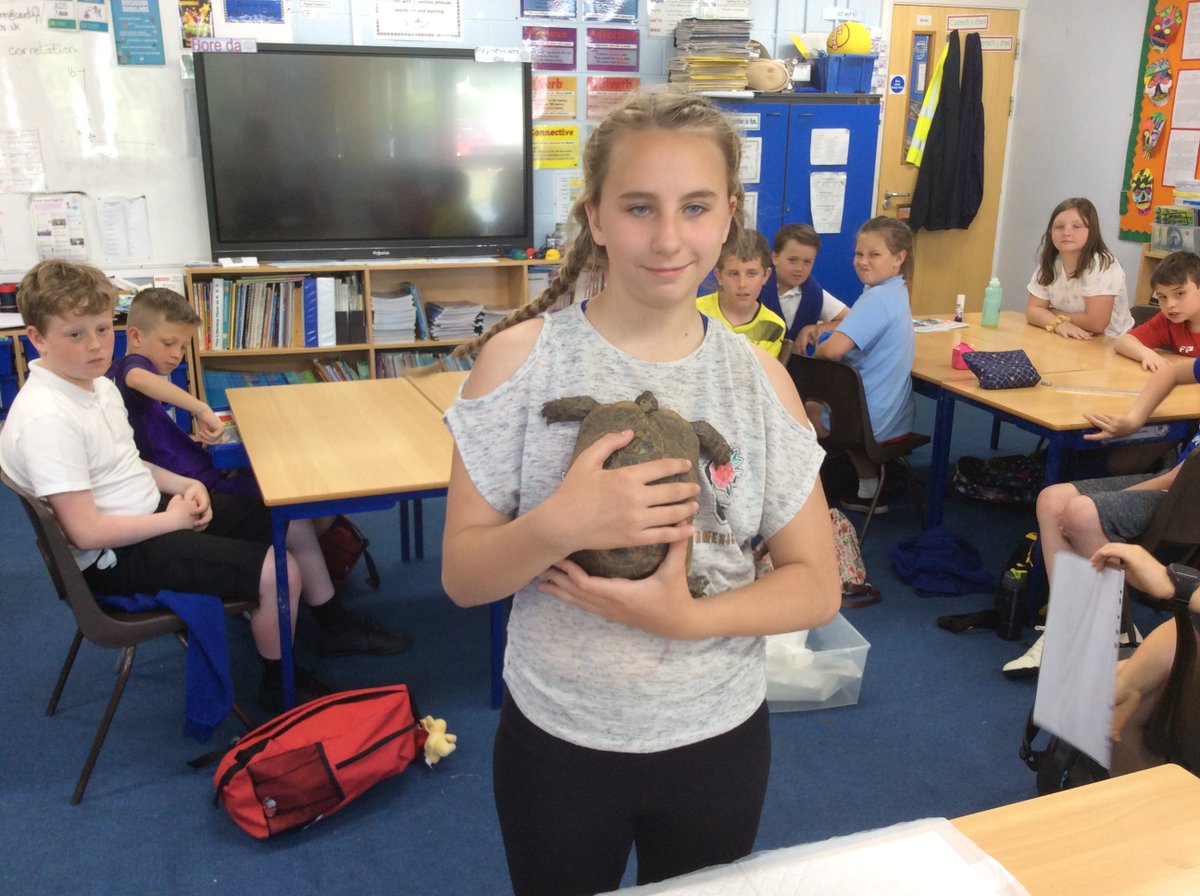 bdps_19's tweet photo. @brynderiprimary Diolch Michaila for sharing your very friendly tortoise with us 😀 https://t.co/0UfmHxTlsH
