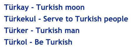 SimEldem's tweet photo. perhaps one day i will have the distinct pleasure of naming my turkish son https://t.co/KuQAwjT7Ft