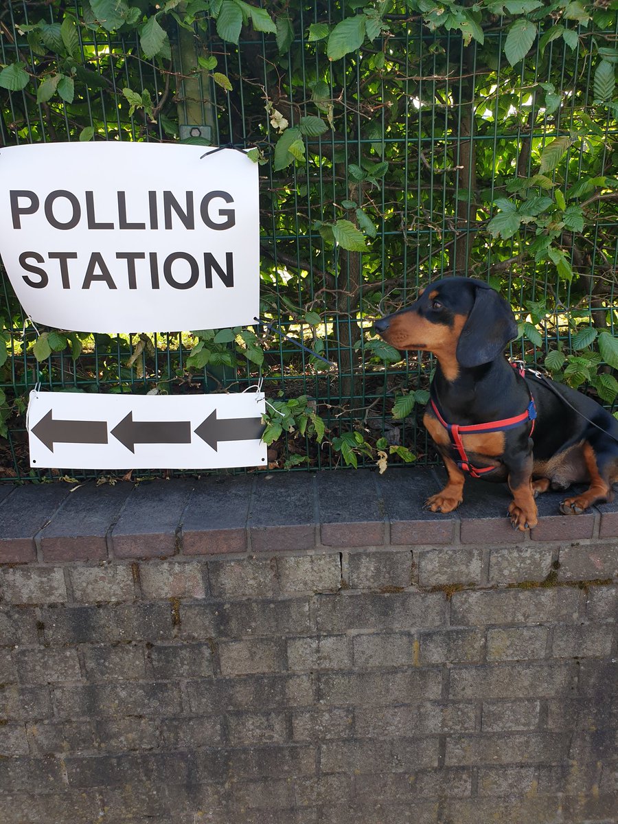 20055times's tweet photo. @HeyImMichaela @Rossco_316
@harrrietemily @becky_fairhurst
#fromagenotfarage
#VotePablo
#dogsatpollingstations2019 https://t.co/F815MCqz60
