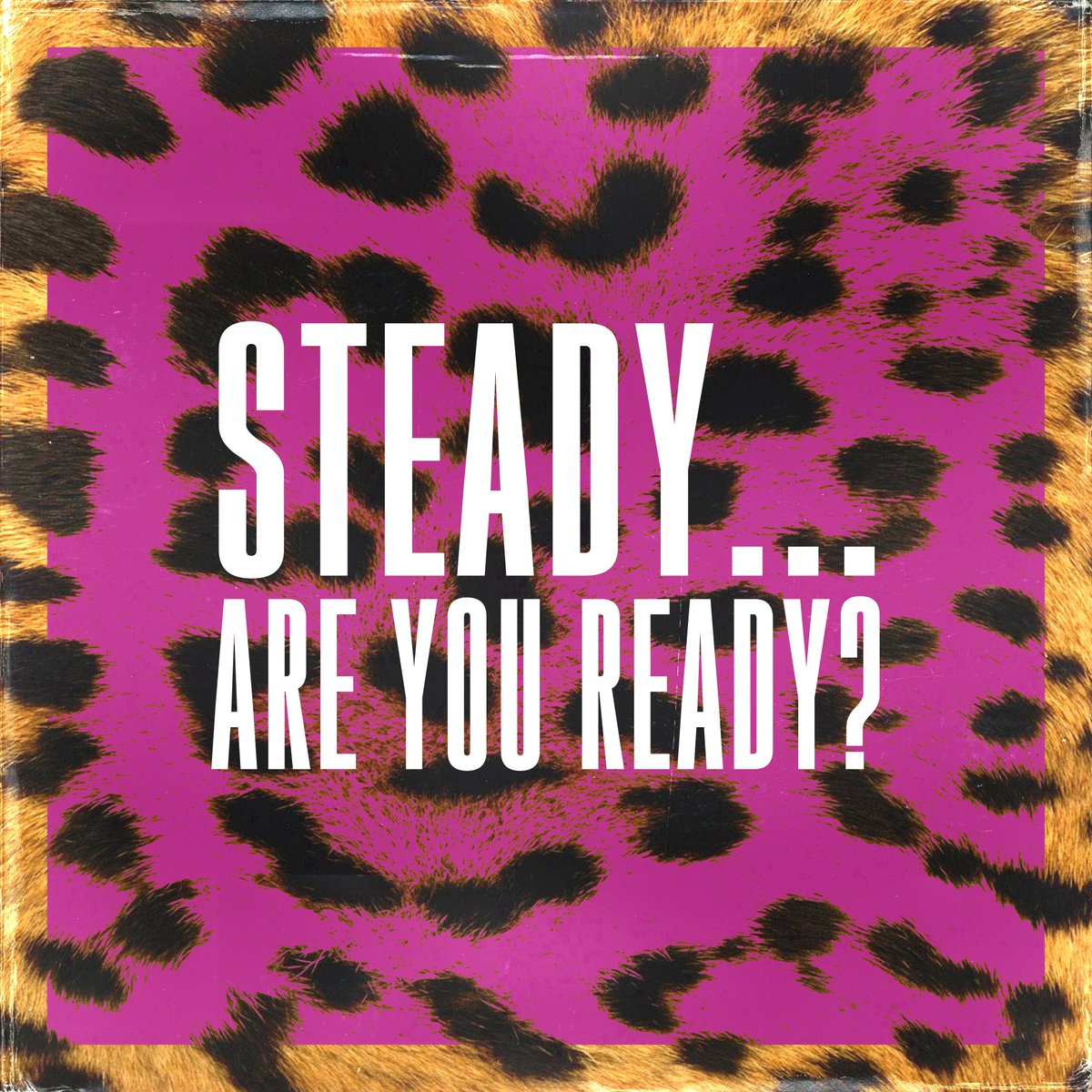 #SteadyAreYouReady ❓