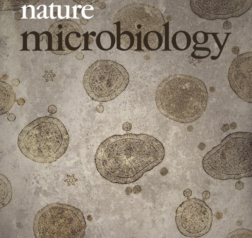 Nonia Pariente (@npariente) on Twitter photo Phage infection, Antoine de Saint-Exupéry style, in the cover of our June issue
#TheLittlePrince
<a href="/NatureMicrobiol/">Nature Microbiology</a>
nature.com/nmicrobiol/vol… Phage infection, Antoine de Saint-Exupéry style, in the cover of our June issue
#TheLittlePrince
<a href="/NatureMicrobiol/">Nature Microbiology</a>
nature.com/nmicrobiol/vol…