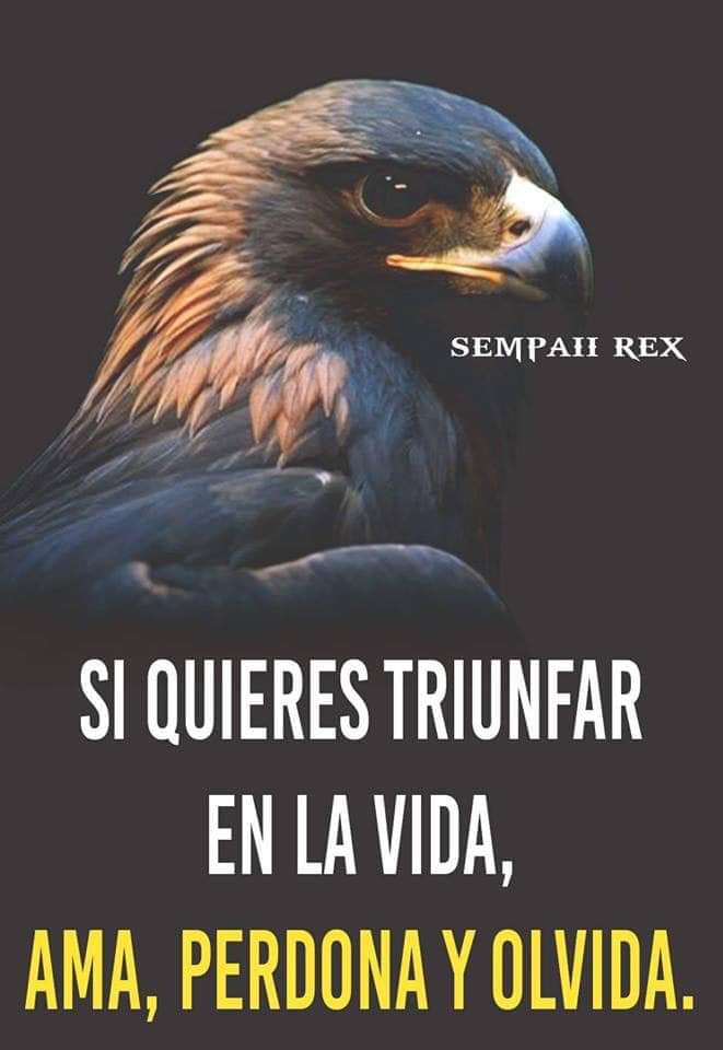 Sebastian Carbajal 44k Reflexiones Siguemeytesigo Sebastian Carbajal 44k Reflexiones Siguemeytesigo
