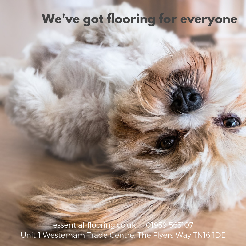InTandridge's tweet photo. Essential Flooring have flooring for all rooms &amp; all budgets! 

They've been supplying &amp; fitting flooring locally since 2007 &amp; are a recommended retailer of Amtico &amp; Karndean. 

Call them on 01959 563107 or visit their showroom in Westerham. 

#flooring #flooringshowroom #localco https://t.co/NtlFe0D2fg