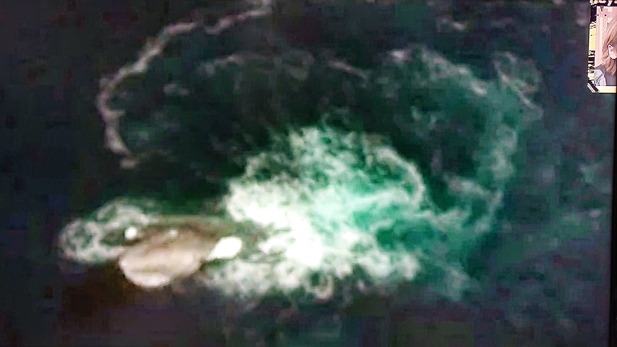 グーグルアースに写った謎の物体！グーグルアースだから偽写真じゃない！これはクラーケン🦑説がありますが…。おいらにはクジラ🐋のジャンプに見えます。真偽は不明？  #UMA #クラーケン #クジラ #グーグルアース