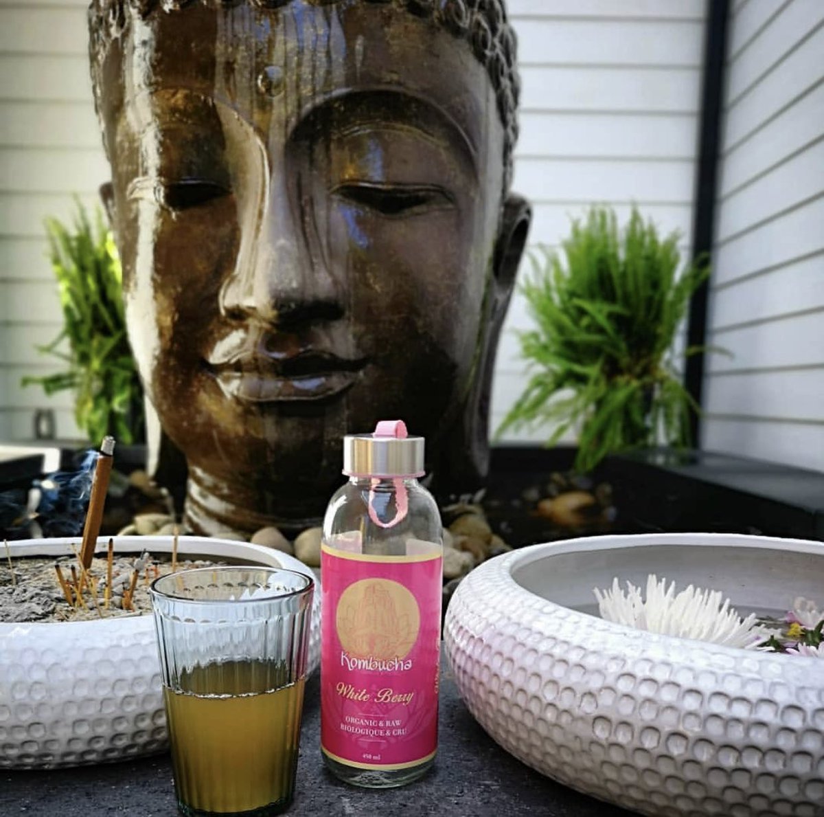 Vidya Kombucha would like to extend a warm congratulations to Harbour House Yoga, Peachland, B.C.  on all their hard work coming to fruition. Harbour House Yoga studio is stunning and they have created a place of clarity. Take some time out to visit soon.