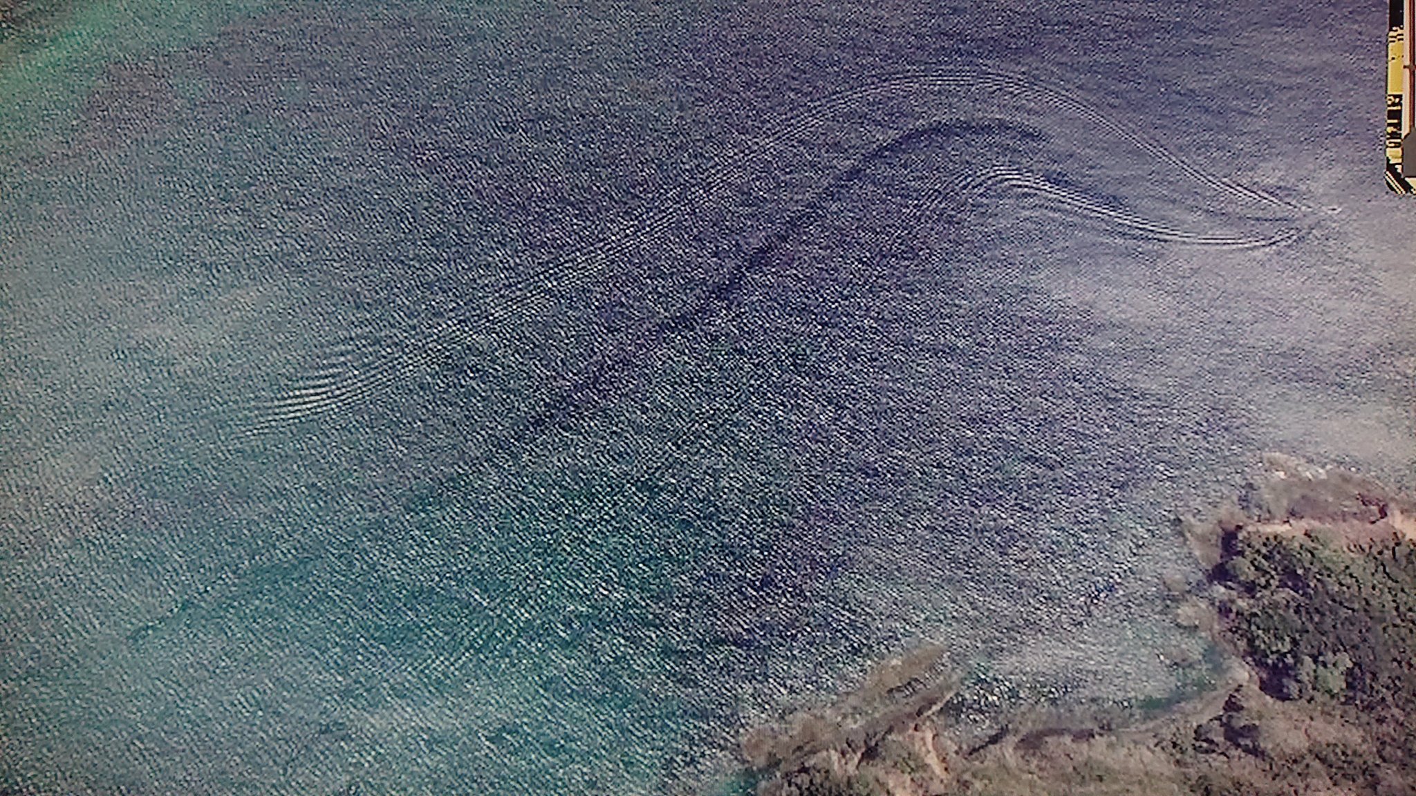 Take7700 これもグーグルアースに写ったシーサーペント 巨大海ヘビ それとも見事な航跡 おそらく航跡だと思います しかし 少し不審な点が Uma シーサーペント 航跡 グーグルアース T Co Jvxrd7qk5d Twitter