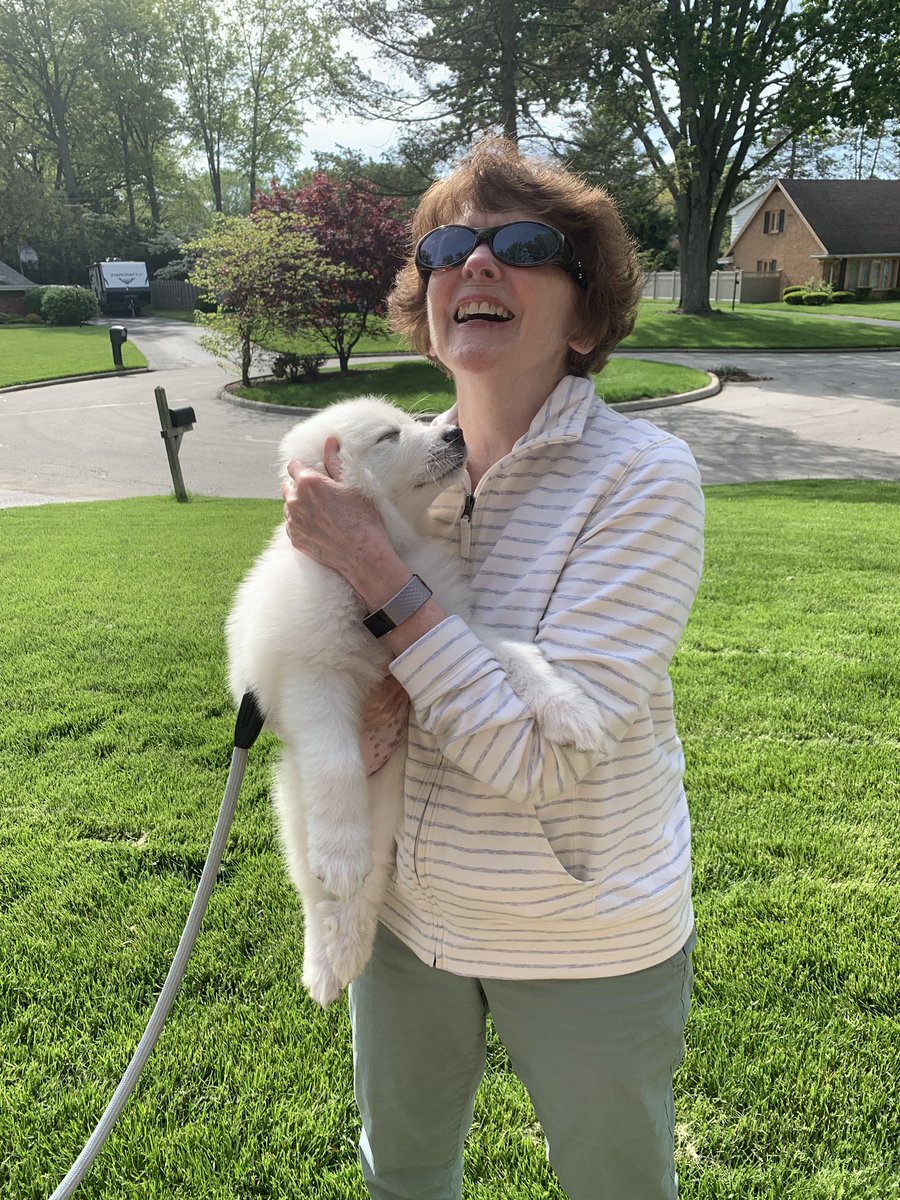 Bailey3201's tweet photo. When your grandma and puppy instantly bond within the first 2 seconds of meeting 😭😭 https://t.co/VeqU4idYPT