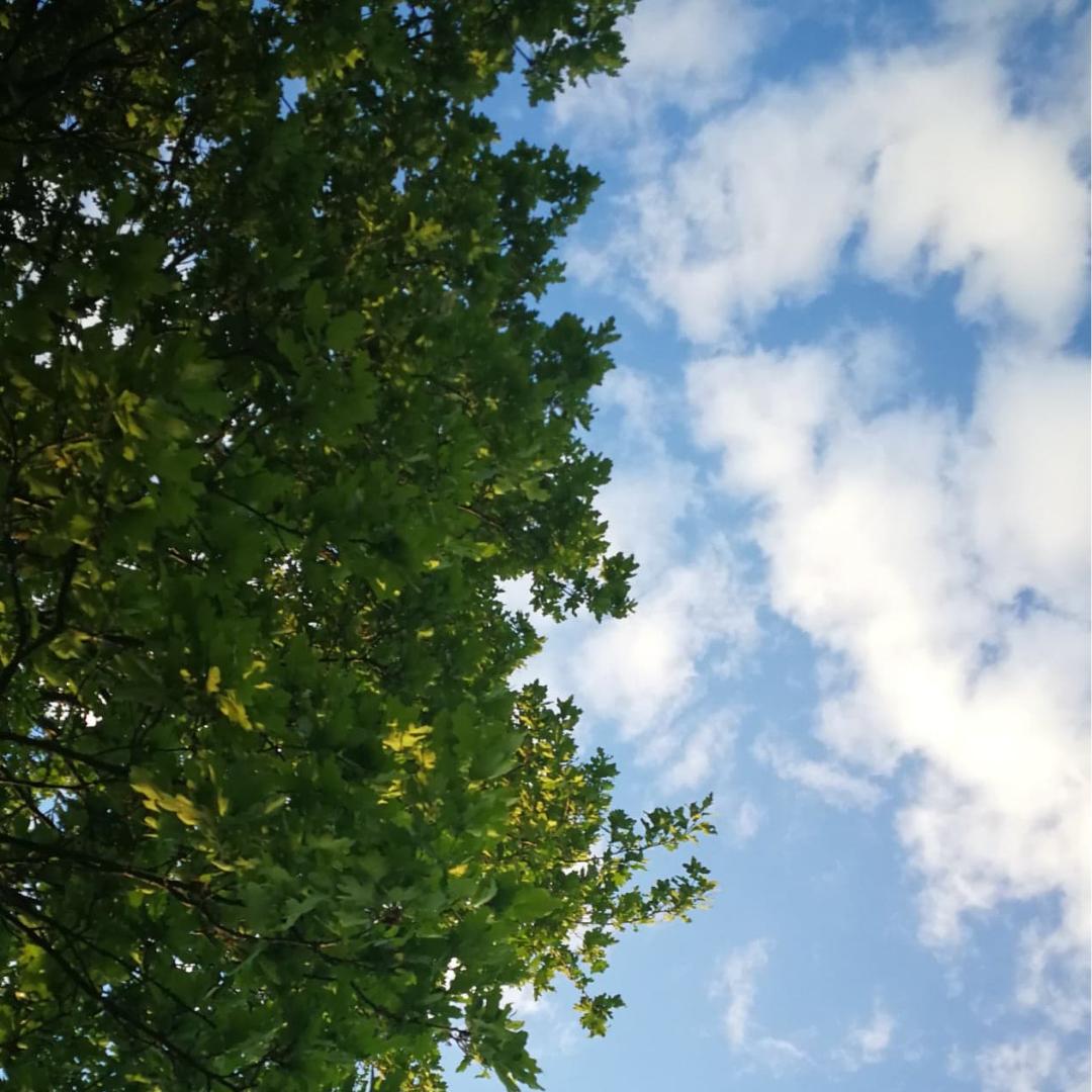 SpringForwardLS's tweet image. We do love days like today, sun and gardening, there is nothing better! We thought what its like where we are today!

Do you have a #gardening / #landscaping job you need help with? Give Adam a call for some honest and friendly advice on 07534 228856.

#Worcesterhour #rhschelsea