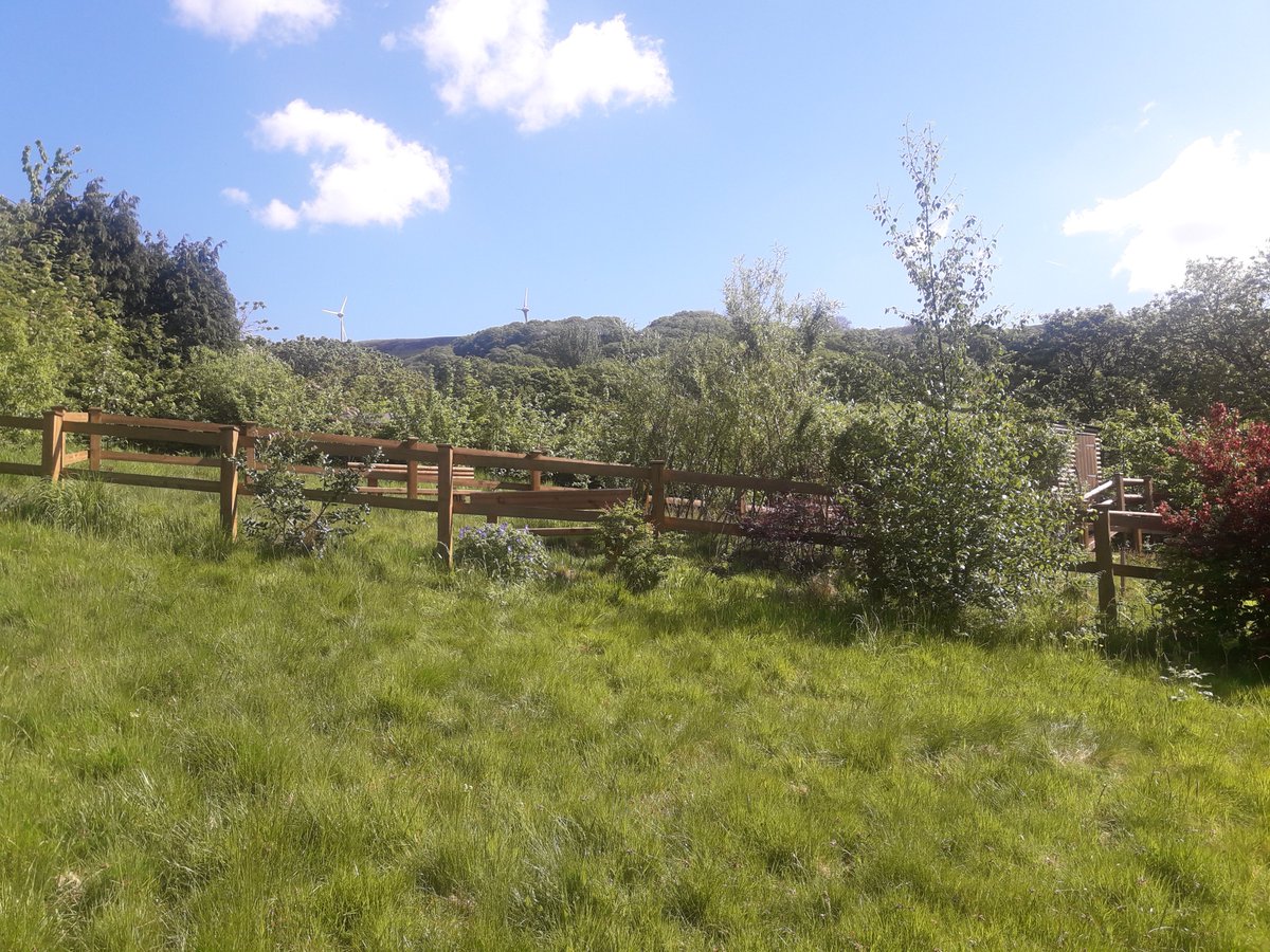 NadiaDL_NRW's tweet photo. Thanks to @dig4health for hosting @NatResWales and CwmTaf #PublicServiceBoard at the Ystrad Rhondda community raised beds. Still some vacant spaces if anyone wants to grow some veg. Lovely areas for wildflowers &amp; birdwatching too. https://t.co/UqA0CQFRy8