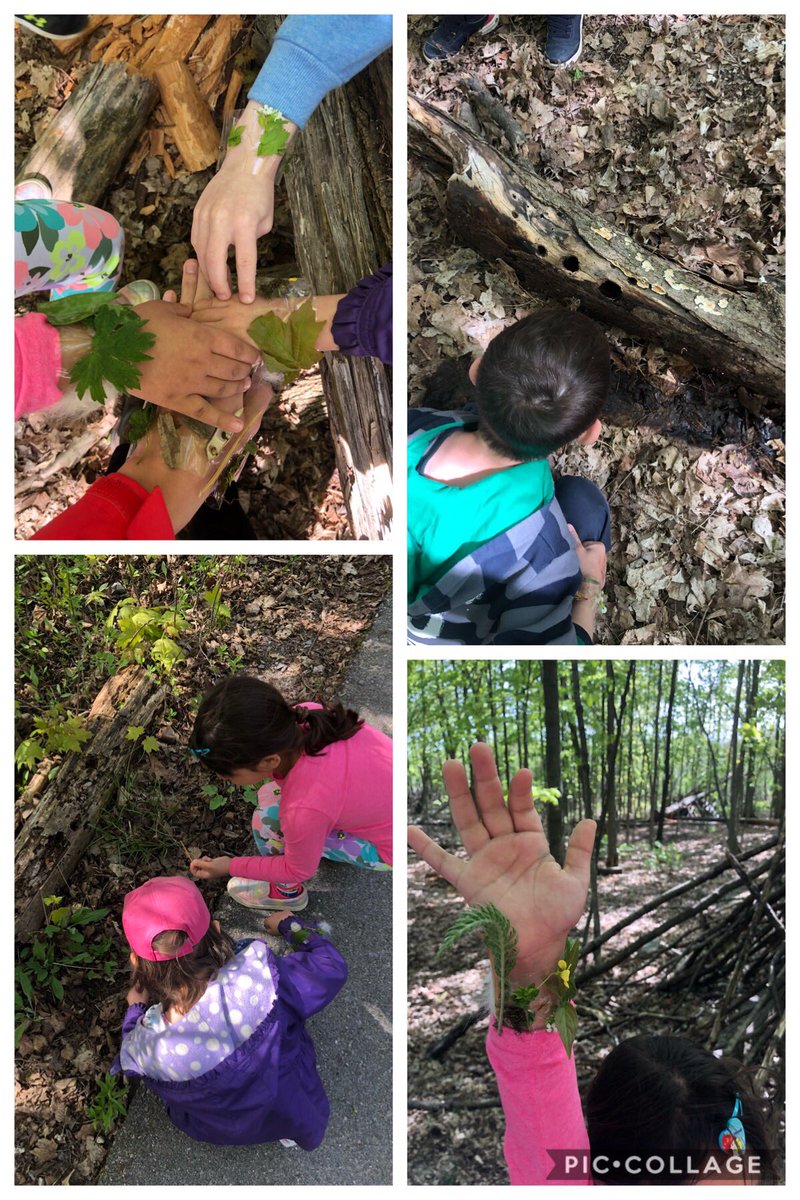 MmeSPaul's tweet photo. Yesterday was a beautiful day for our nature walk. Our SK/1’s explored the forest trail near @SirJohnA_LDSB and made their very own nature bracelets to show what they found! What gems can you find outside?🌿☘️🍂🌼🌾🌲 #environmentaleducation #outdoorplay https://t.co/esUR2mu3uz