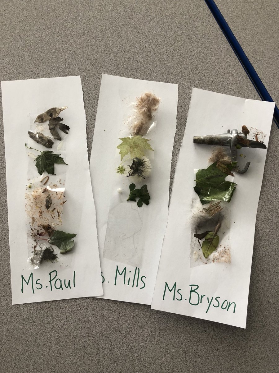 Yesterday was a beautiful day for our nature walk. Our SK/1’s explored the forest trail near @SirJohnA_LDSB and made their very own nature bracelets to show what they found! What gems can you find outside?🌿☘️🍂🌼🌾🌲 #environmentaleducation #outdoorplay