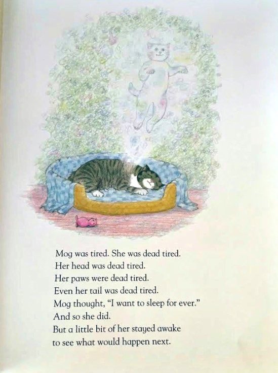 RohanAntMehra's tweet photo. Such a lovely ending, I loved the Mog books growing up! Goodbye Judith Kerr https://t.co/sU7IDLlVjy