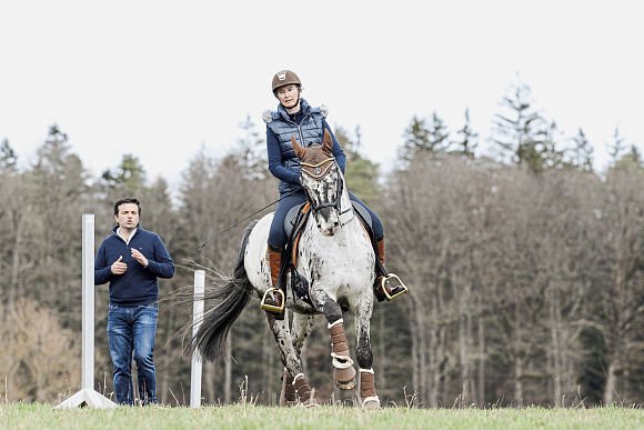 Eng_Equestrian tweet picture
