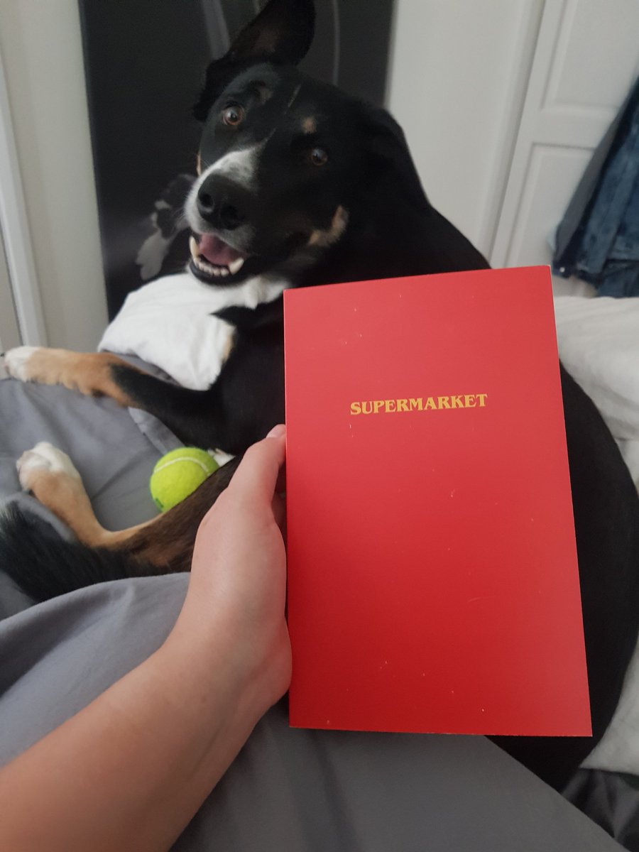 katie_tuckerr's tweet photo. Supermarket just got delivered and Apollo is obviously just as excited as I am about it😍 https://t.co/CfldWxz6iO