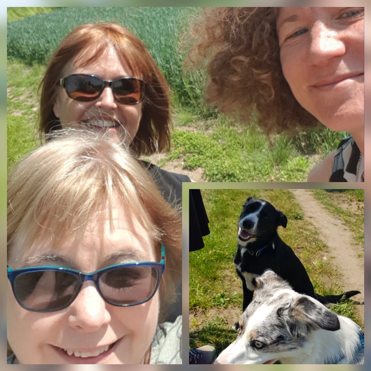 SuffolkALC's tweet photo. The team embrace #movesuffolk @Most_Active by getting away from our desks and enjoying a lovely walk in the @claywhitpc countryside this lunchtime. https://t.co/HdmQODZ425