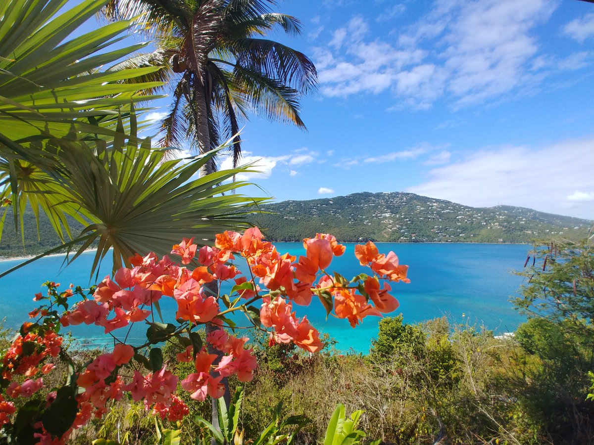 explor_cation's tweet photo. Ever thought about visiting the US Virgin Islands but decided on a different destination due to the cost? Visit on a budget with these 5 tips to planning an inexpensive trip! #budgettravel #travelblogger #stthomas #stjohn #explore @SpiritAirlines @Airbnb https://t.co/lgzU7upEEr https://t.co/QPUH8iJQbq