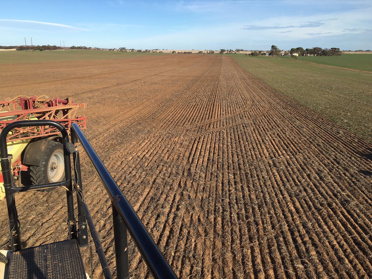 Catford_Farming's tweet photo. Dented the old mans confidence a bit, we're calling it a TOS trial instead of a fxxk up https://t.co/uzDTJoIeHx
