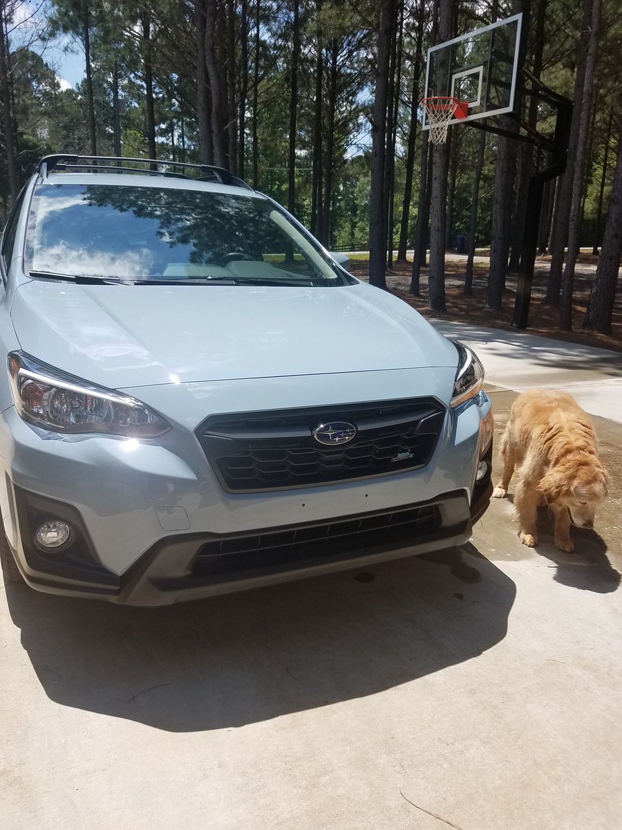 kinsey the crunchy con | 🌱 tweet media