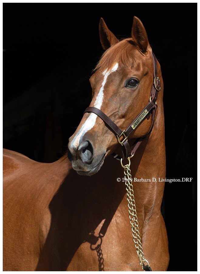 David Crisp tweet media