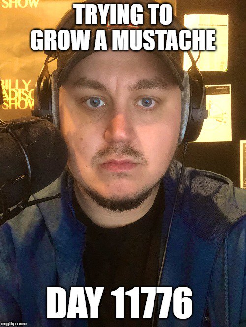 The Billy Madison Show tweet media