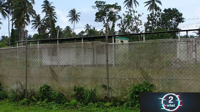 2whatcom's tweet image. Manus Island Refugee 'suicide attempts' in wake of Australia election #2what.com #asylum #australia #government #nauru #refugee #refugees #seekers 2what.com/manus-island-r…