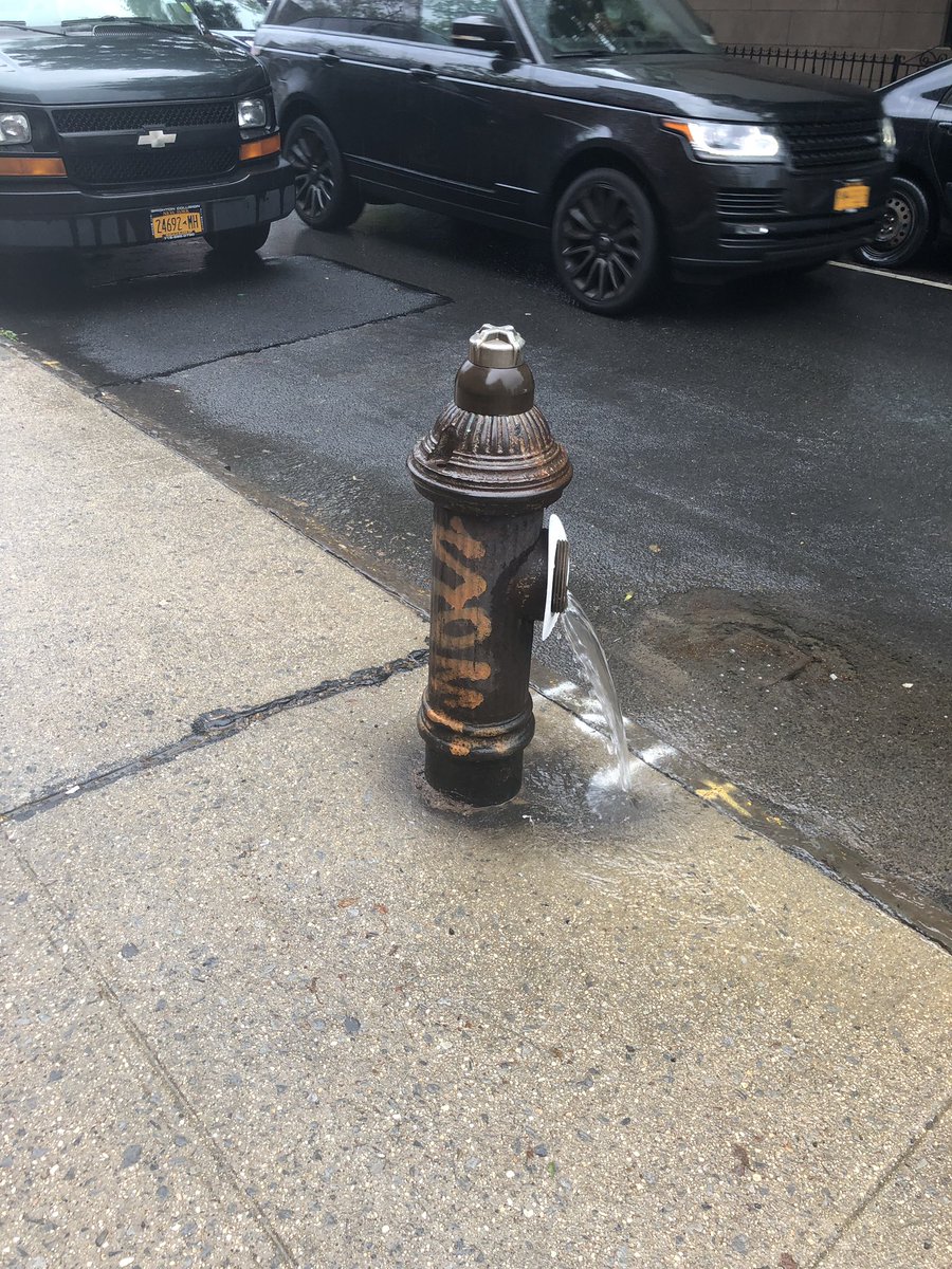 TheOpinionStore's tweet photo. @nyc311 hydrant open pouring out water since yesterday on Hoyt between 2nd and 3rd street BK. https://t.co/CFjQsEs6Kc