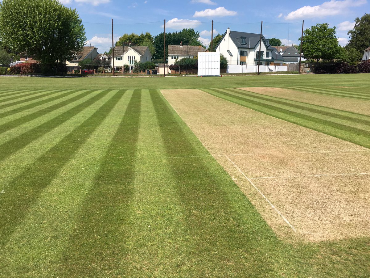 Application of Gaia Sea X from <a href="/SASGaia/">SASGaia</a> - amazing stuff and all natural too . Thanks Martin