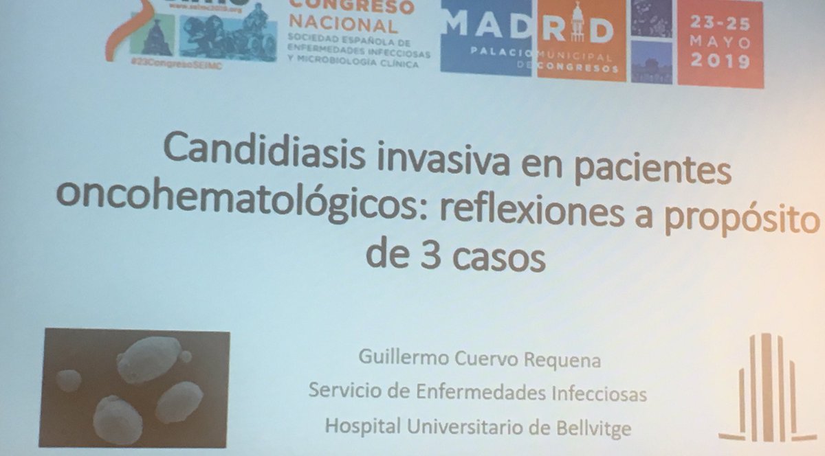 c_garciavidal's tweet photo. Dr. Guillermo Cuervo premio al joven investigador GEMICOMED!!! El premio incluye realizar una charla en nuestro #23CongresoSEIMC . Gran idea! #ApoyandoTalento #ProudOfMyTeam https://t.co/RVcclh1ugL