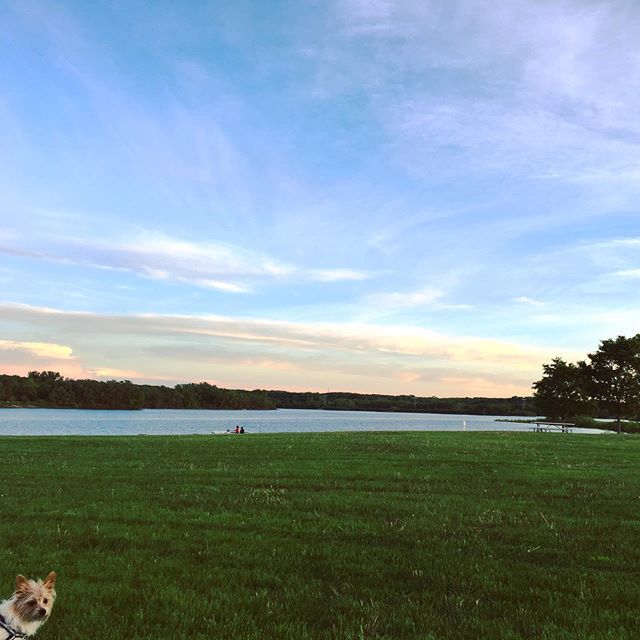 autostradem's tweet photo. For a State that has the reputation of being all silos and farmland, #iowa is far more lush than I would have expected. That being said, based on the number of windmills I’ve passed (and blades of windmills-to-be being trucked on the highway), it must be the wind-generation … https://t.co/Bx2IqI1oN6