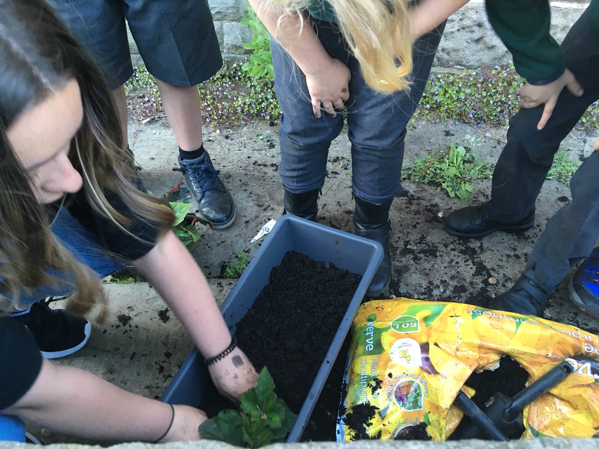 20th Oldham (@20tholdham) on Twitter photo Thank you to Isabel, Elliot, James and Josh for helping the Cubs plant up the window boxes for church this week. #scouts #oldhamscouts #cubs #youngleaders #skillsforlife <a href="/OldhamScouts/">Oldham Scouts</a> Thank you to Isabel, Elliot, James and Josh for helping the Cubs plant up the window boxes for church this week. #scouts #oldhamscouts #cubs #youngleaders #skillsforlife <a href="/OldhamScouts/">Oldham Scouts</a>