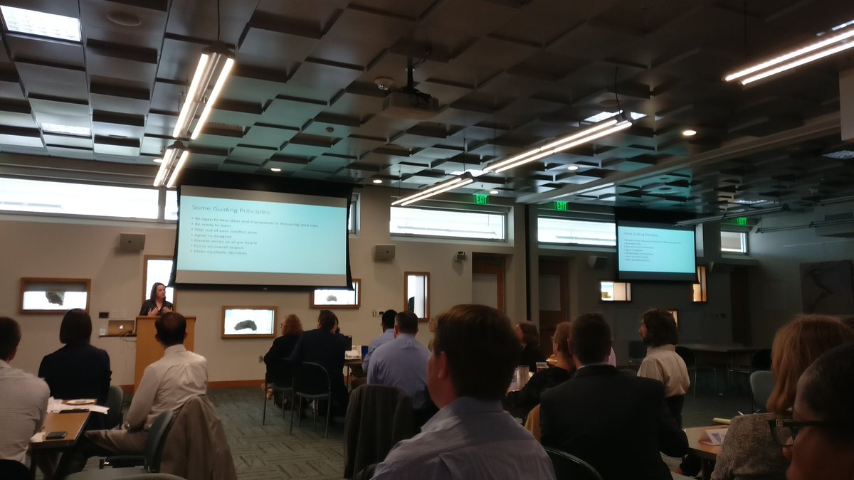 NC's Collaborative process to develop an economic equity sensitive roadmap for its future energy efficiency roadmap and clean energy plan