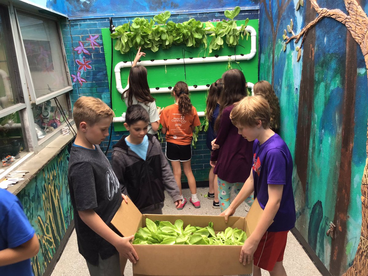 Rmarshall tweet media