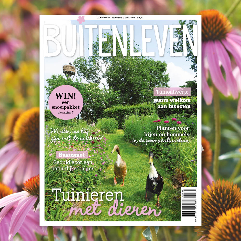 <a href="/Buitenleven/">Buitenleven Magazine</a> 5 is uit! Met daarin onder andere de buxusmot, wie kent hem niet? Hoe is hij in ons land beland en waarom reageert de natuur (nog) niet met een natuurlijke afweer? En negen verrassende nachtbloeiers, borders als bermboeketten en nog veel meer! bit.ly/buitenleven201…