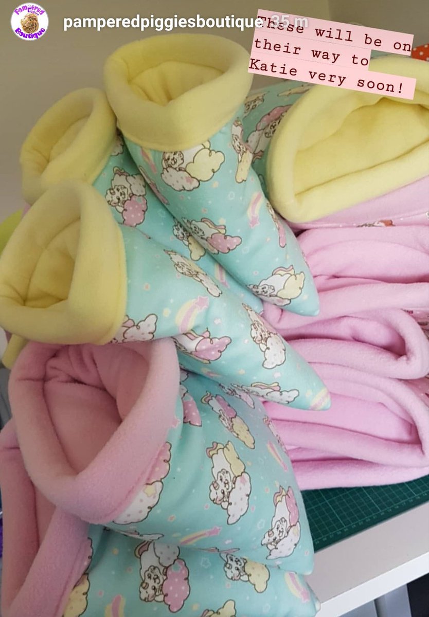 gpigwheekly's tweet photo. ✨🐹 How cute are these piggie beds looking 😄! Stef did an awesome job 🐹✨ Katie x https://t.co/vNTwnV3zOZ https://t.co/jUJ9nS2t8b