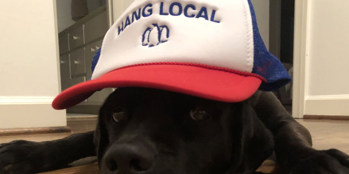 HANG LOCAL tweet media