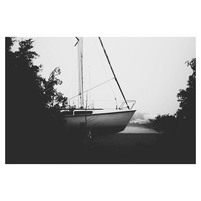 JakobKjoller's tweet image. Peaking out into the World. #goingnowherefast .
.
.
.
.
 #nature_brilliance #EarthVisuals #artofvisuals #welivetoexplore #natureaddict #naturediversity #ourplanetdaily #earth_deluxe #instanaturelover #bnw_demand #bnwmood #monochrome #bnw_globe #blackandw… bit.ly/2M8erDw