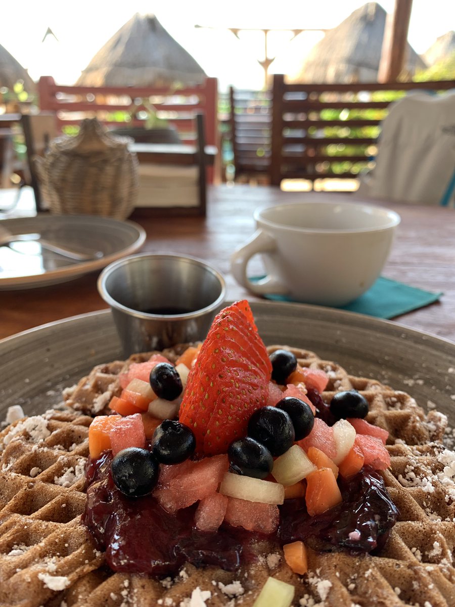 FeliciaCombsTWC's tweet photo. At this moment I’d like to recognize the best #waffle I’ve ever eaten in my entire life 🙏🏼
#breakfast #tulum #tatatulum https://t.co/J4X5ie0oJZ