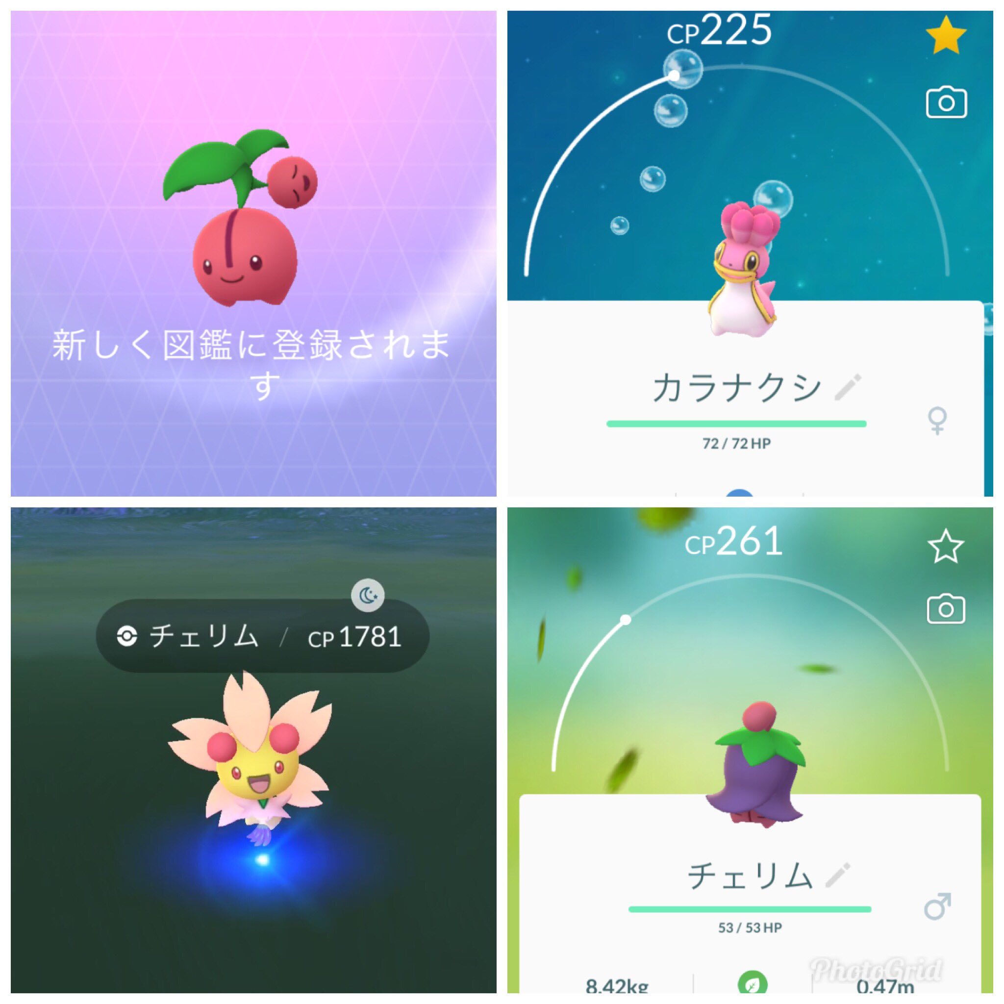 Mamy 新ポケ 少しだけど集まってきました 今日はチェリムのポジフォルムをゲット 図鑑 探してもいなくてビックリ フォルム違いだったとはw チェリンボはコミュデイの日に2体ゲット カラナクシのピンクは可愛くて 1体しかいないので進化させ Mamy 新ポケ 少しだけど集まってきました 今日はチェリムのポジフォルムをゲット 図鑑 探してもいなくてビックリ フォルム違いだったとはw チェリンボはコミュデイの日に2体ゲット カラナクシのピンクは可愛くて 1体しかいないので進化させ