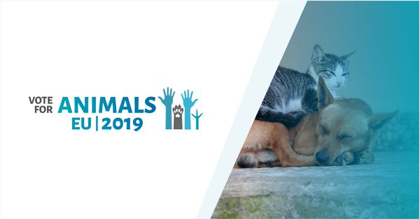 AnimalPolitique tweet media