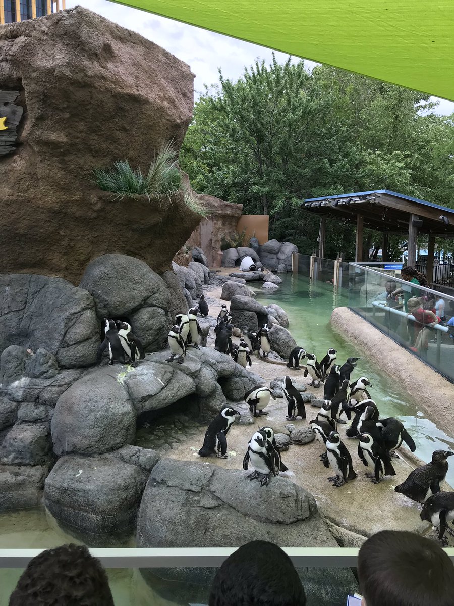 Exploring the adventure aquarium! 🐸🐧🐟🐠<a href="/itsahorbelthing/">Horbelt</a>