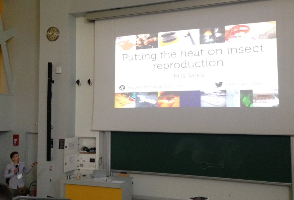 Tom Ratz tweet media